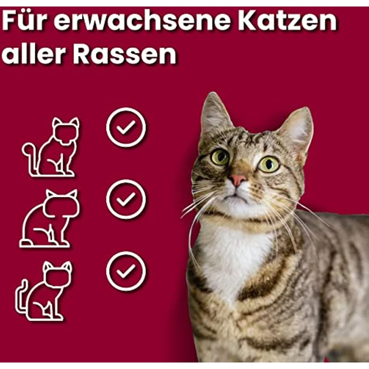 animonda vom Feinsten Senior Katzenfutter nass mit Rind, 32x100g, ohne Getreide und Zucker, mit frischen, fleischigen Zutaten für Katzen ab 7 Jahren – Bild 3
