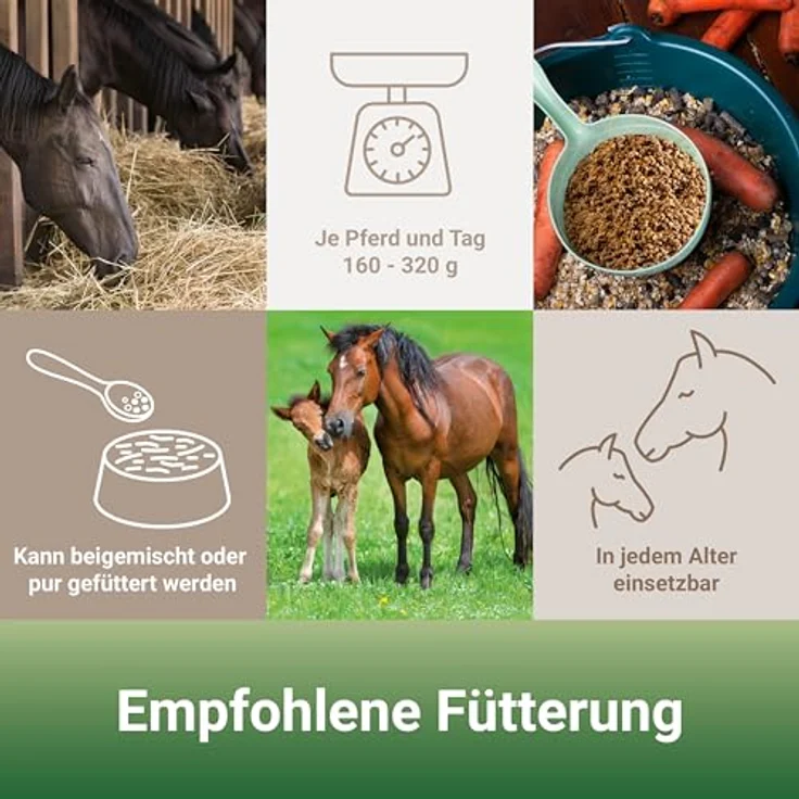 PANTO Wisan-Mais, 25 kg Kraftfutter für Pferde mit erhöhtem Energiebedarf, ideal für Sportpferde & Auffüttern, schmackhafte Mischung mit Leinsaat – Bild 4