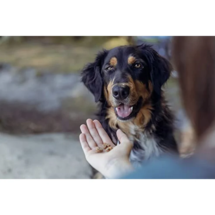 TRIXIE Hundeleckerli Insekten Snack Hearts mit Mehlwürmern, glutenfreie proteinreiche Snacks für Hunde, ohne Getreide & Zucker, 80g – Bild 5