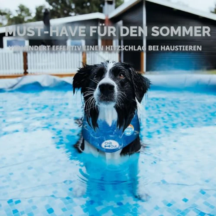 ALL FOR PAWS Chill Out Ice Bandana, Large - Kühlendes Hundebandana mit langlebiger Ausstattung – Bild 4