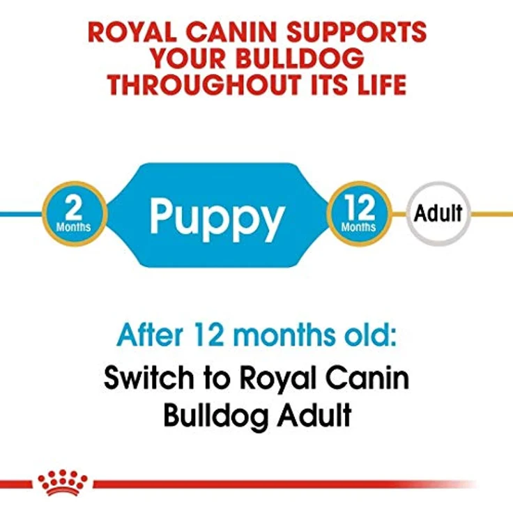 Royal Canin Bulldog Puppy, Hundefutter für Welpen bis 12 Monate, 12 kg, hohe Verdaulichkeit und Unterstützung von Knochen/Gelenken – Bild 4