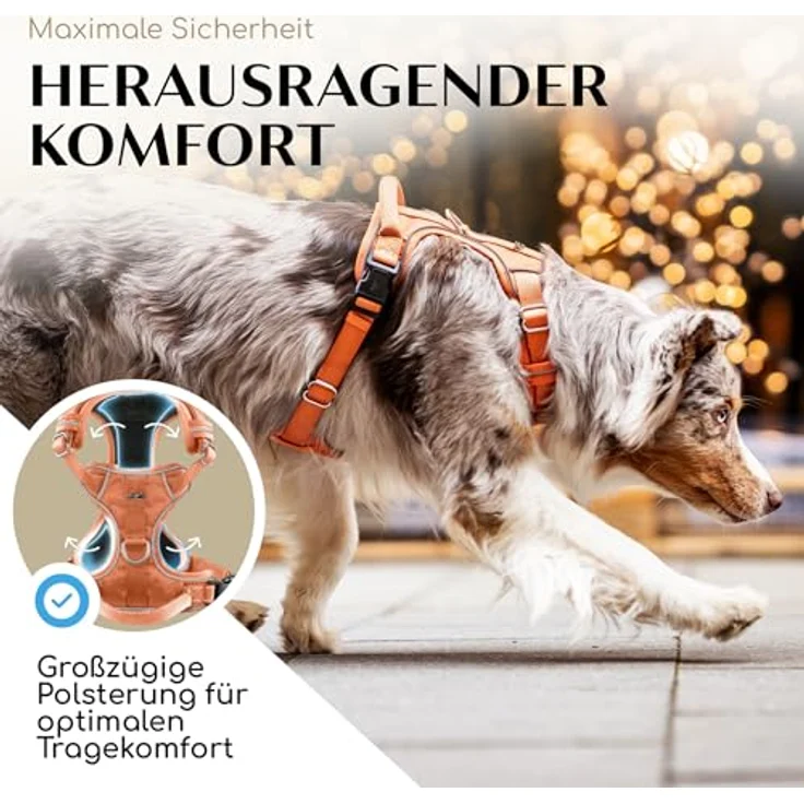 FREUDENTIER Hundegeschirr Orange, mit Mesh-Polsterung, Anti-Zug-Frontring, verstellbar für max. Komfort und Sicherheit, Größe L – Bild 3