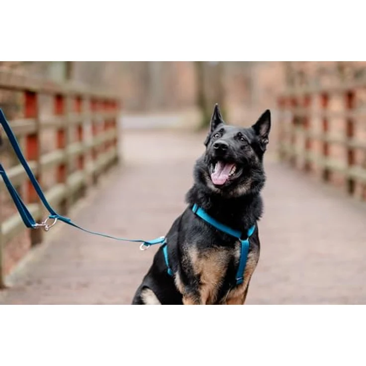 Chaba Guard Hundegeschirr, Anti-Zug & Würgen, Einstellbar, Ergonomisches Design, Größe S, MEERES – Bild 2