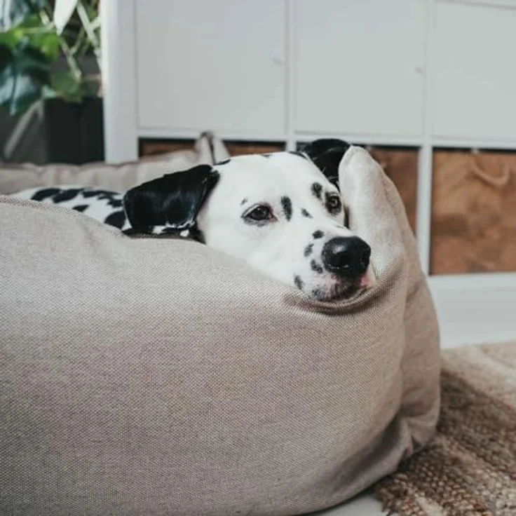Hunter Hunde-Sofa Livingston beige M – 80x60 cm – Bild 6