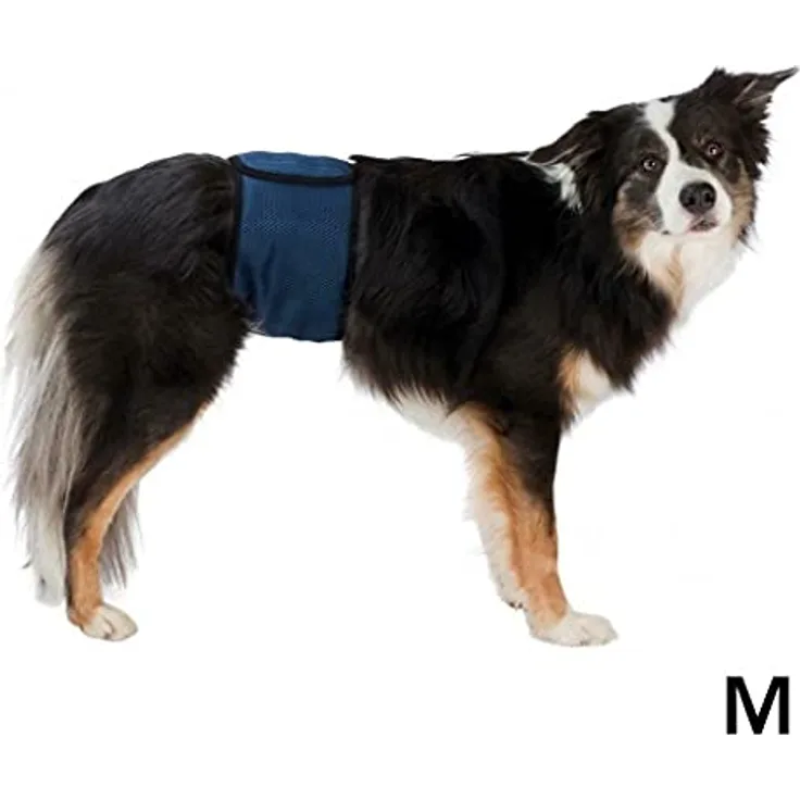 Trixie Bauchband für Rüden, 45-55 cm, atmungsaktives Netzmaterial, dunkelblau