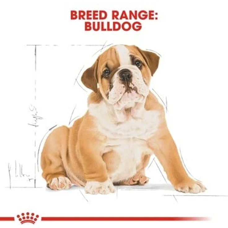 Royal Canin Bulldog Puppy, Hundefutter für Welpen bis 12 Monate, 12 kg, hohe Verdaulichkeit und Unterstützung von Knochen/Gelenken – Bild 3