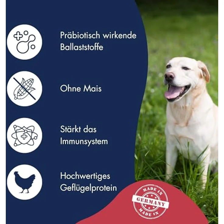 Dr. Clauder's Best Choice Adult Medium, Trockenfutter für kleine und mittelgroße Hunde, weizenfrei, 12,5kg Geflügel, unterstützt die Verdauung und stärkt das Immunsystem – Bild 3