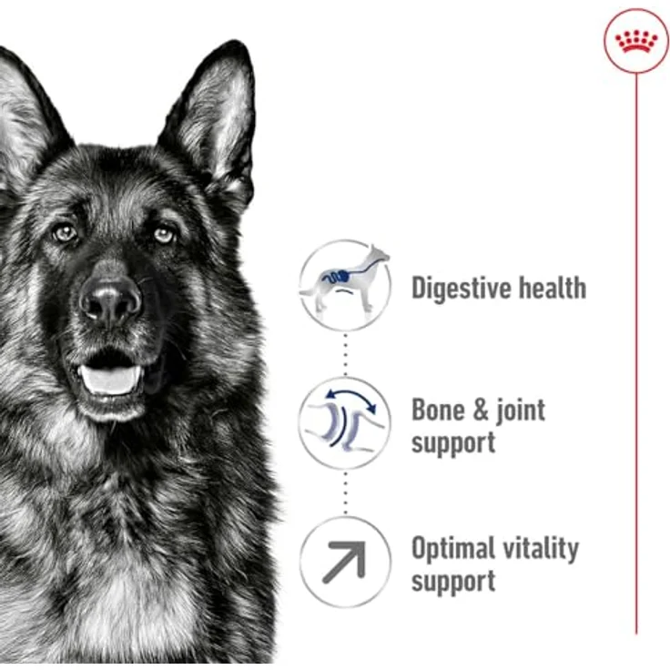 Royal Canin MAXI Adult 5+, Trockenfutter für ältere große Hunde (26-44kg), 4kg – Bild 3