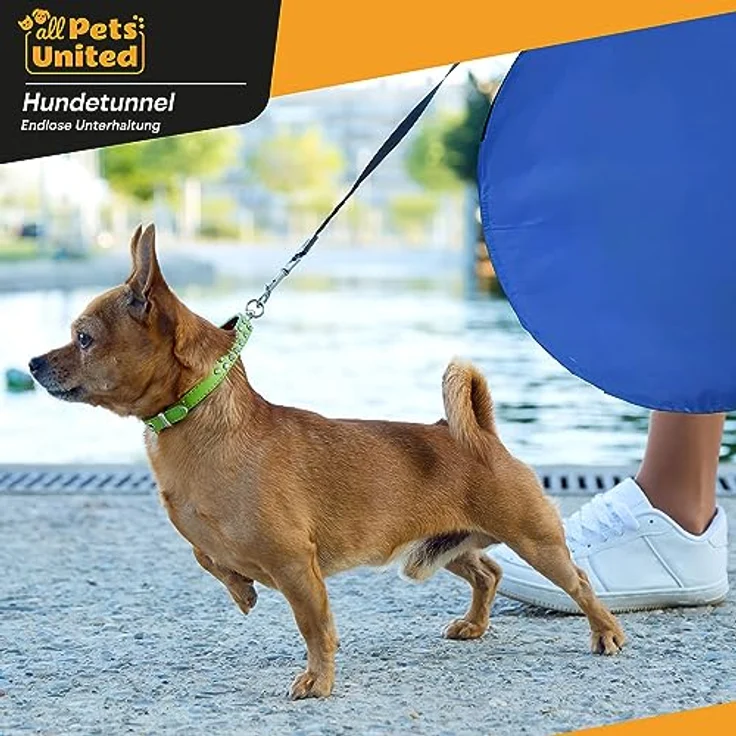 GOODS+GADGETS Hunde Agility Tunnel, Spieltunnel 500 x 60 cm, inkl. Heringe und Transporttasche, wasserfest und langlebig – Bild 5