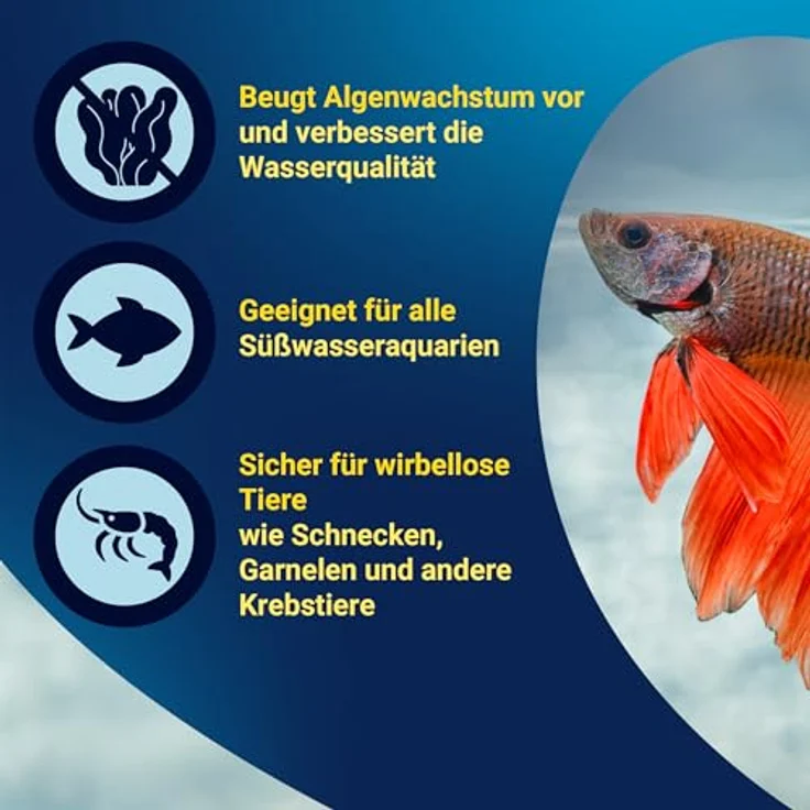 Tetra NitrateMinus, Nitratreduktion für Aquarien, biozidfreie Algenkontrolle, 100 ml für 400 Liter – Bild 5