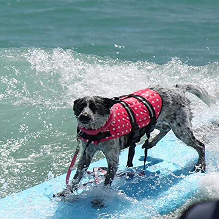 Izefia Hund Schwimmweste, Sicherheitsmantel mit Griff für kleine bis große Hunde, Rot Punkt, Größe M – Bild 5
