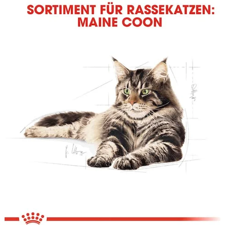 Royal Canin Light Weight Care, Katzenfutter für übergewichtige Katzen, 400 g, ausgewogene Ernährung mit L-Carnitin – Bild 5