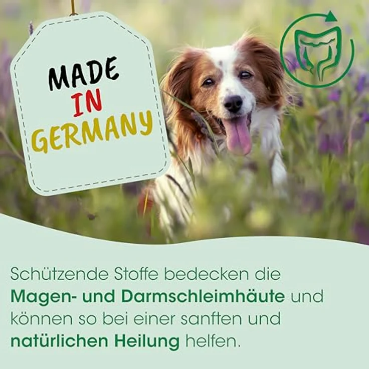 cdVet Magenschutz, Hundefutter zur Unterstützung der Magen-Darm-Regeneration, 400 g – Bild 4