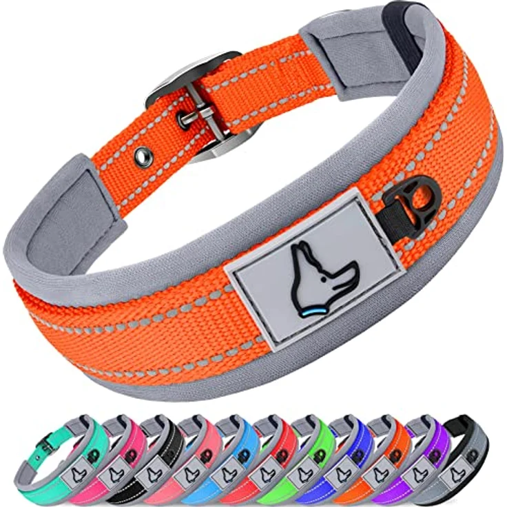 Joytale Hunde Halsband, Weiches gepolstertes Neopren Halsband für kleine Hunde, Nylon reflektierend, orange, 28-37 cm – Bild 1