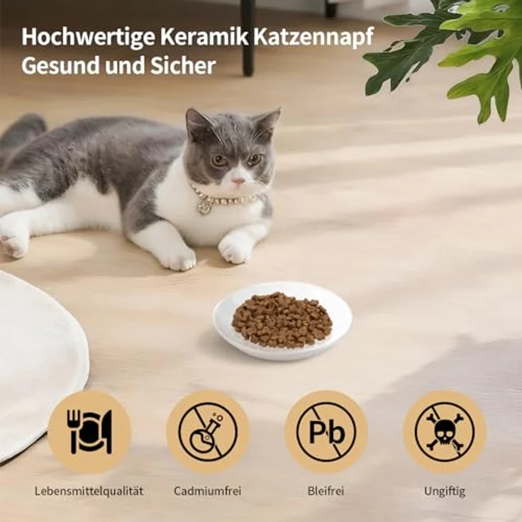 unbholkk Katzennapf Set, 4 Stück Keramische Futternäpfe, Whiskerfreundliches Flachdesign, Weiß, Ideal für Katzen und Kleintiere – Bild 5