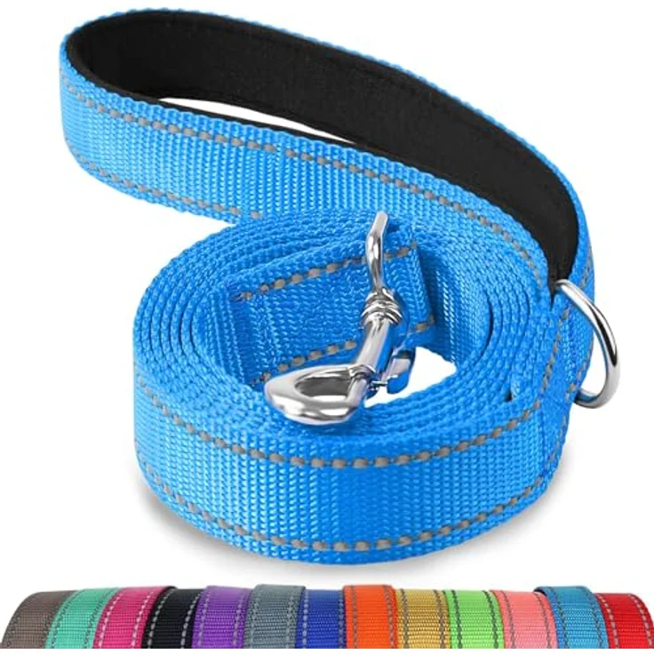 Joytale Hundeleine für Große und Mittelgroße Hunde, Doppelseitig Reflektierende Nylonleine mit Gepolstertem Griff, 1,2m x 2,5cm, Blau – Bild 1