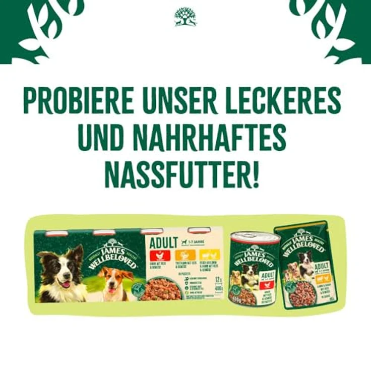 JAMES WELLBELOVED Adult Truthahn und Reis, hypoallergenes Trockenfutter für ausgewachsene Hunde, 2 kg – Bild 9