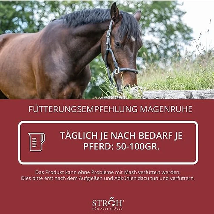 STRÖH Magenruhe Pferd, 12kg Feedbox für Magen, Darm & Verdauung, Mineralfutter mit Bierhefe, Sanddorn & Vanille – Bild 5