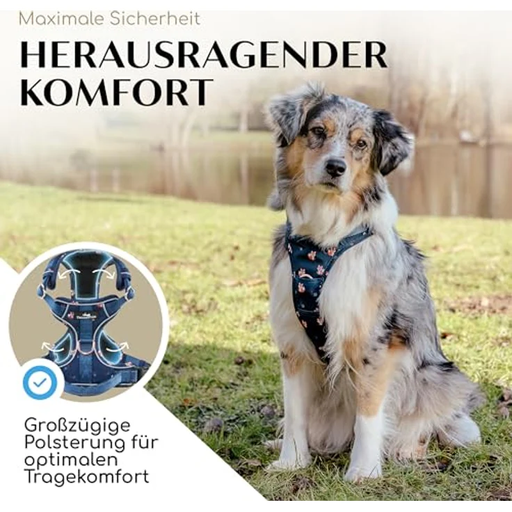 FREUDENTIER Hundegeschirr Let's get Foxy, mit Griff & atmungsaktiver Polsterung, Anti-Zug-Funktion, robust und wasserabweisend, verschiedene Größen verfügbar – Bild 3