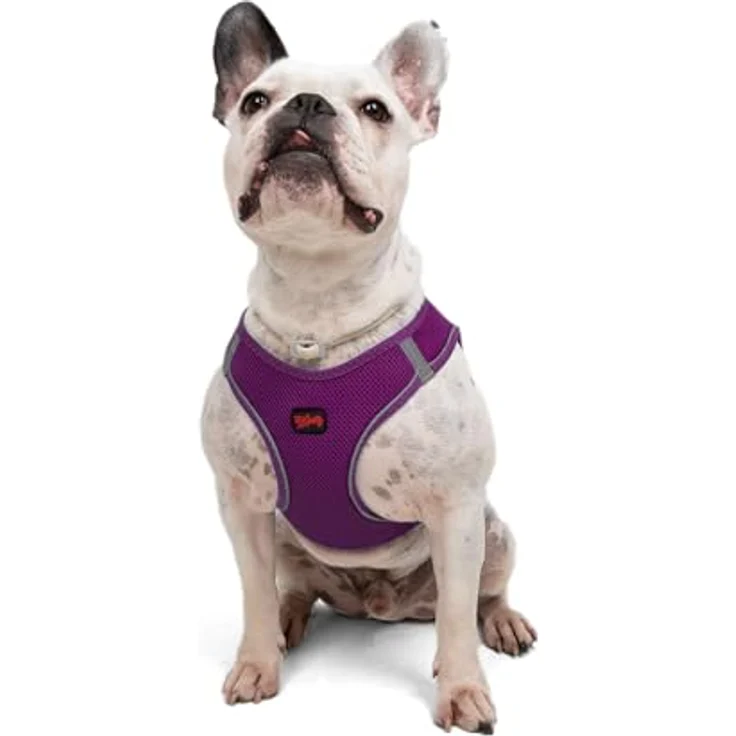 Tailpetz Air-Mesh Brustgeschirr für kleine und mittelgroße Katzen und Hunde – Weich, Atmungsaktiv, Strapazierfähig, Violett, L (Brustumfang 59–63,5 cm) – Bild 1