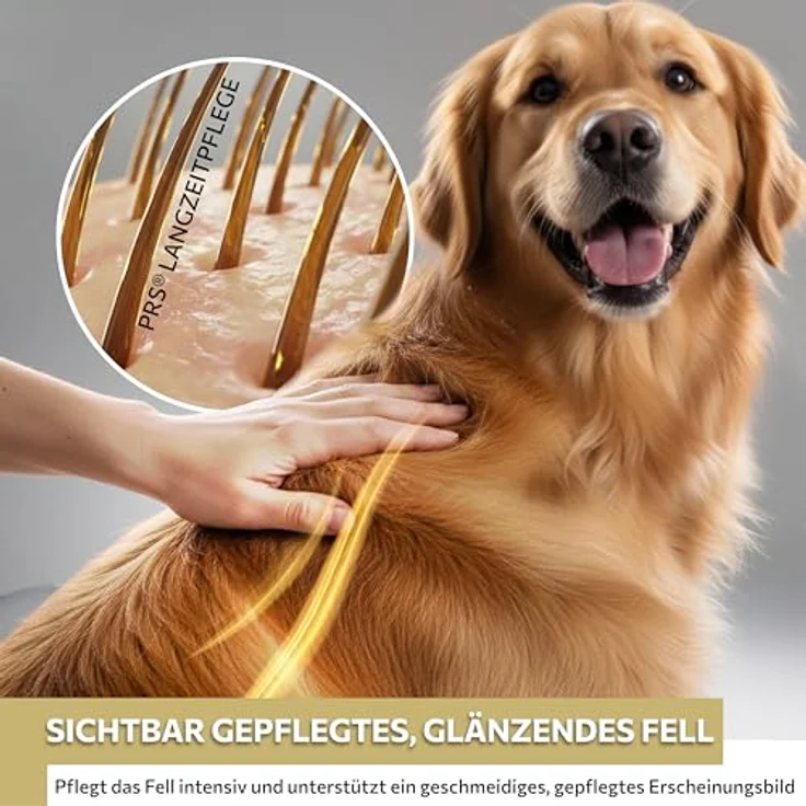 Peticare® Hunde Trockenshampoo, 200 ml – Natürliches Hundeshampoo gegen Geruch & Schmutz, ohne Wasser, mit Argan- & Kokosöl für alle Fellarten, sanfte Pflege für Hunde & Welpen – Bild 5