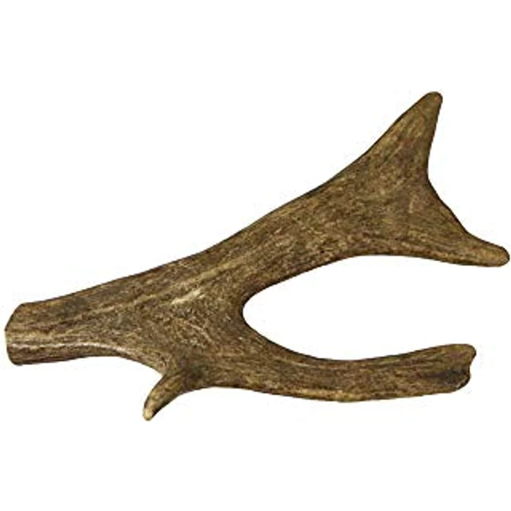 Schecker Spielknochen Damhirsch-Geweih für den Hund, Gr. S = 35 - 75g, echtes, reines Naturprodukt – Bild 2