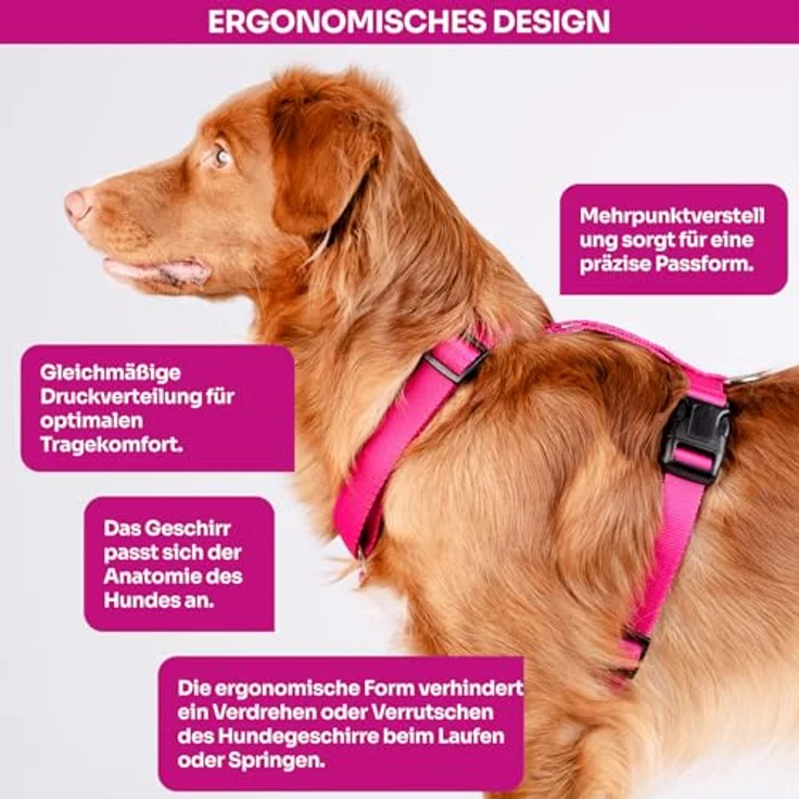 Chaba Guard Hundegeschirr, Anti-Zug & Würgen, 5-fach verstellbar, ergonomisches Design, Größe M, Fuschia – Bild 4