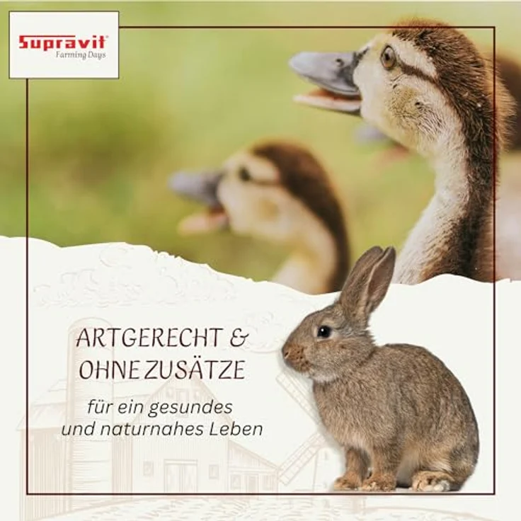 Supravit Maisbruch, 5kg geschroteter, getrockneter Mais für Vögel, Hühner, Kaninchen & Pferde, hochverdauliches Einzelfutter oder Mischfutter – Bild 3