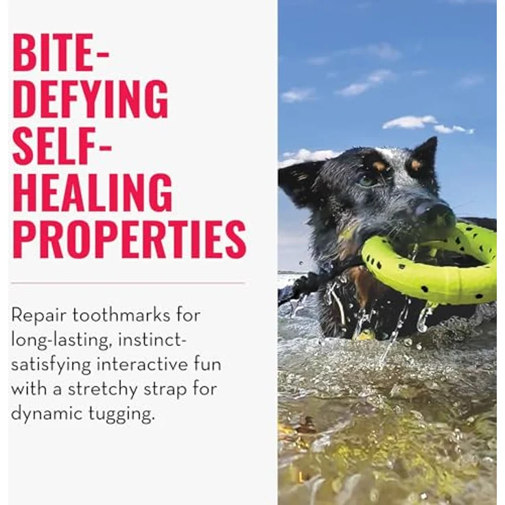 KONG Reflex Zerrspielzeug für Hunde, bissresistenter Beißring mit elastischer Schlaufe, schwimmfähig, grün – Bild 3