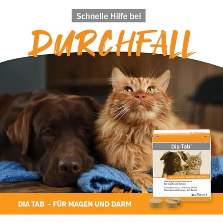 Alfavet Dia Tab PRO, Diät-Ergänzungsfuttermittel für Hunde und Katzen, Kautablette gegen Durchfall, 20 x 5,5g in praktischer Dose – Bild 2