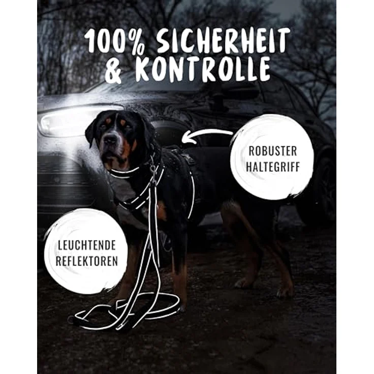 Rudelkönig Hundegeschirr Paola, Reflektierendes Brustgeschirr für große Hunde mit Haltegriff, Verstellbares Neopren-Polsterungsdesign für maximalen Komfort – Bild 4