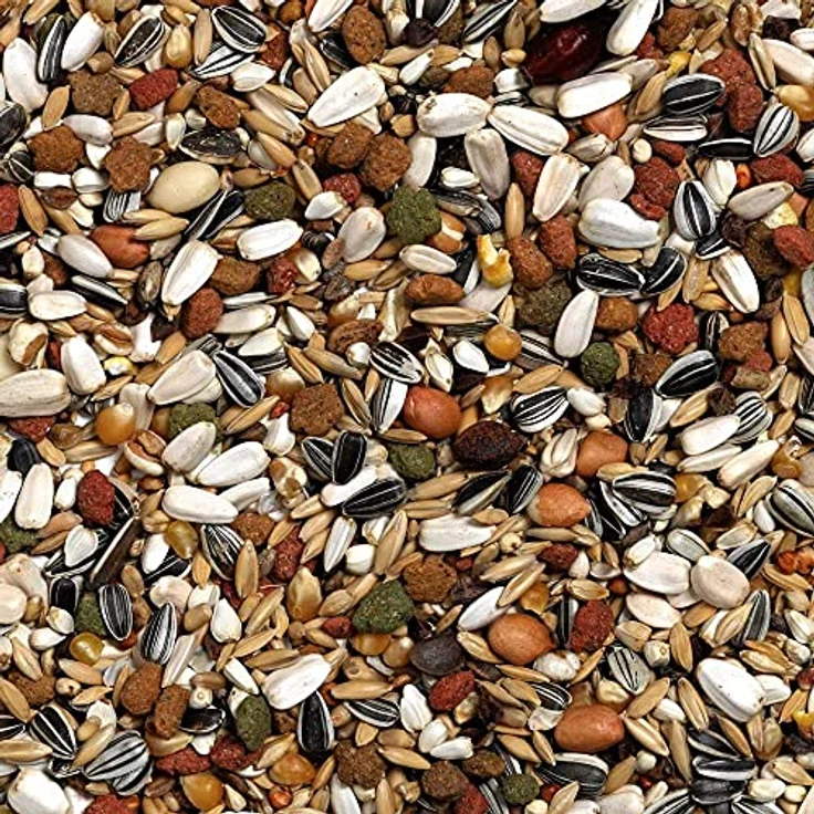 Versele Laga Prestige Loro Parque African Parrot Mix, 2,5 kg, angereicherte Samenmischung für afrikanische Papageien mit Vitaminen und Mineralstoffen – Bild 2