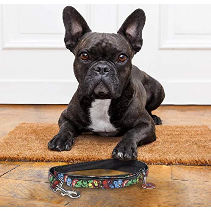 Cerdá Life'S Little Moments - Marvel Hundeleine für kleine Hunde, 1 m lang, Mehrfarbig mit Pupsbeutelspender – Bild 3