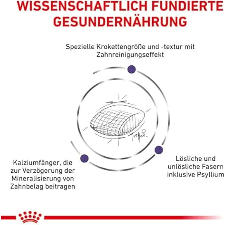 ROYAL CANIN Expert DENTAL, 1,5 kg, Alleinfuttermittel für erwachsene Katzen, Zahngesundheit & Haarballen-Komplex, tierärztliche Rezeptur – Bild 5