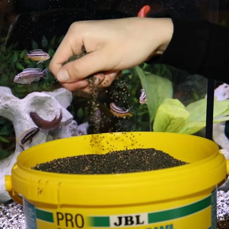 JBL PRONOVO MALAWI GRANO, Hauptfutter-Granulat für Buntbarsche 8-20 cm, 5500 ml, hohe Akzeptanz mit natürlichen Rohstoffen – Bild 3