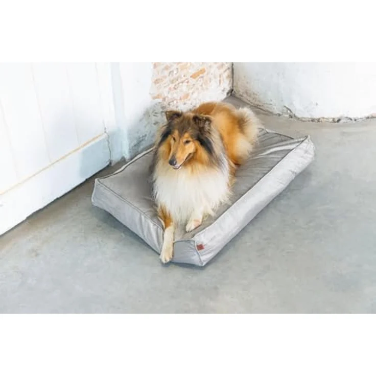 Designed by Lotte DBL Nalino Liegekissen, Hund, Samt, grau, 100x70x15 cm – Bild 8