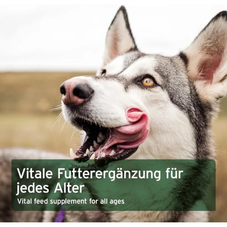 AniForte BARF-Line Karotten-Möhrenflocken, 1kg, getreide- und glutenfreies Hundefutter ohne künstliche Zusätze – Bild 6