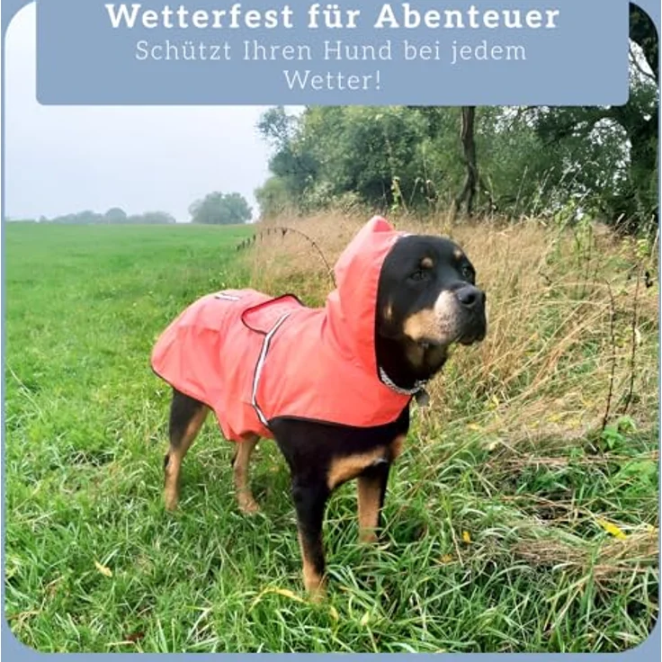 Bella & Balu Hunderegenmantel L, wasserdicht mit Kapuze und Reflektoren für sichere Gassigänge, orange – Bild 4