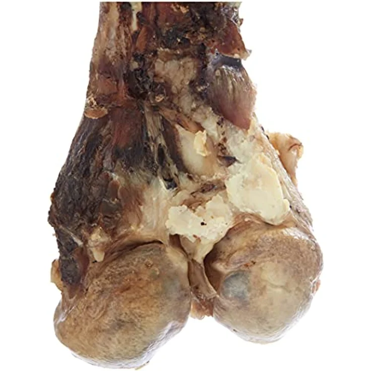 Nobby Rinderknochen XXL, Naturknochen lufgetrocknet, 1 Stück (1800 - 2300 g), 45-55 cm, vakuumverpackt – Bild 3
