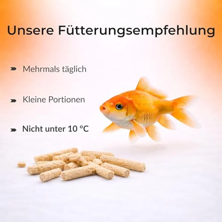 Blumixx Teichsticks 50L, Premium Fischfutter für Teichfische, schwimmend und leicht verdaulich, mit Vitaminen für klares Wasser – Bild 5