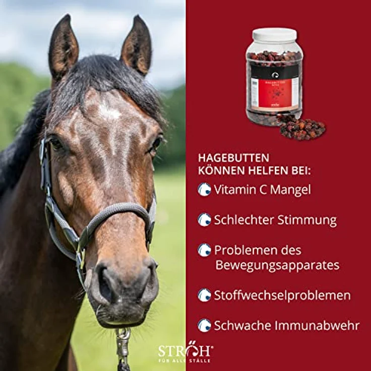 STRÖH Hagebutten für Pferde, 1kg ganze Früchte als Leckerli oder Snack, naturbelassen & schonend getrocknet – Bild 3