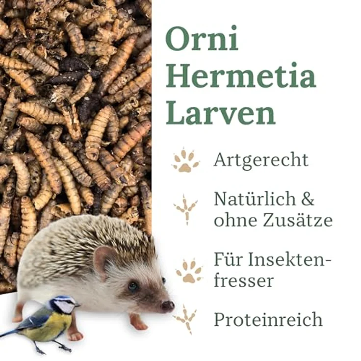 Orni Soldatenfliegenlarven getrocknet 500g, eiweißreiches Insektenfutter für Wildvögel, Igel, Fische, Reptilien & Eichhörnchen – artgerechte Mehlwurm-Alternative, 100% Naturprodukt, ohne Zusatzstoffe – Bild 2