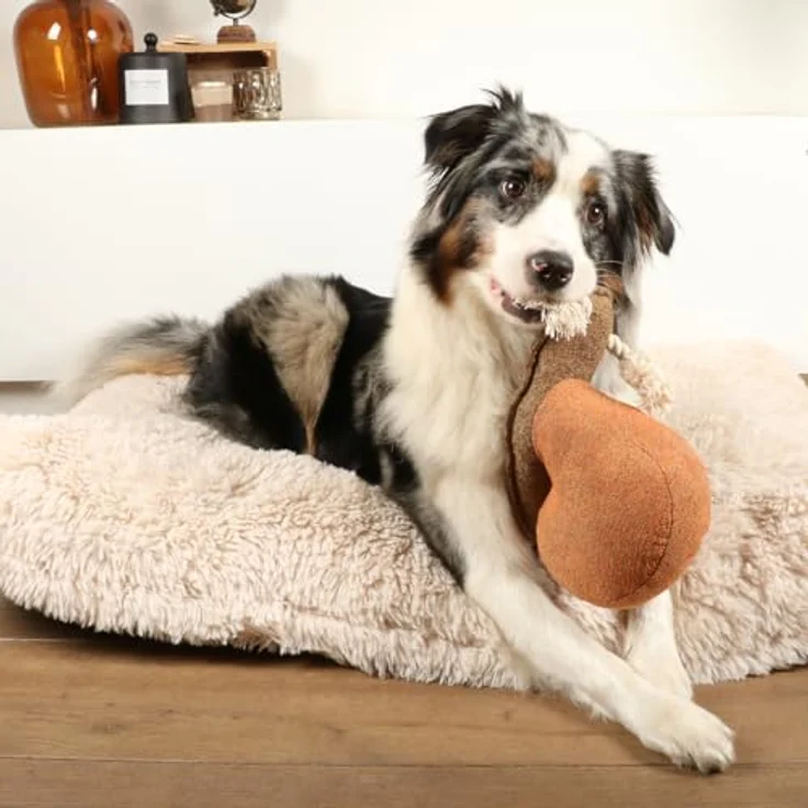 D&D Home Sheldon Hundespielzeug, Chenille, 25 x 12 x 20 cm, Braun, Antennen aus geknotetem Seil, Quietschelement in Kreppform, robuster Innenstoff, niederländisches Design – Bild 4