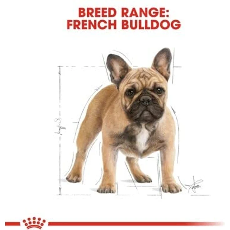 Royal Canin French Bulldog Adult, Hunde-Trockenfutter mit Mix-Geschmack, 3 kg – Bild 2
