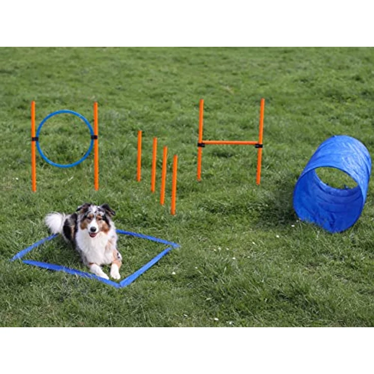 Lemodo Agility Set für kleine und mittlere Hunde, Hundetraining mit Agility Hürde, Hundetunnel und Sprungring, individuell anpassbar – Bild 3