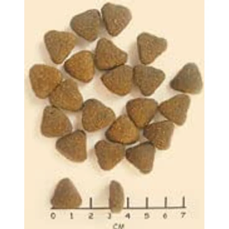 WOLFSBLUT Wide Plain Adult, getreidefreies Hund Trockenfutter mit frischem Pferdefleisch und Süßkartoffeln, 12,5 kg – Bild 3