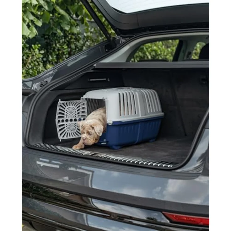 lionto Tiertransportbox für Hunde & Katzen, bis 15 kg, 55x36x36 cm, Blau, robuster Polypropylen mit guter Belüftung und praktischem Tragesystem – Bild 2