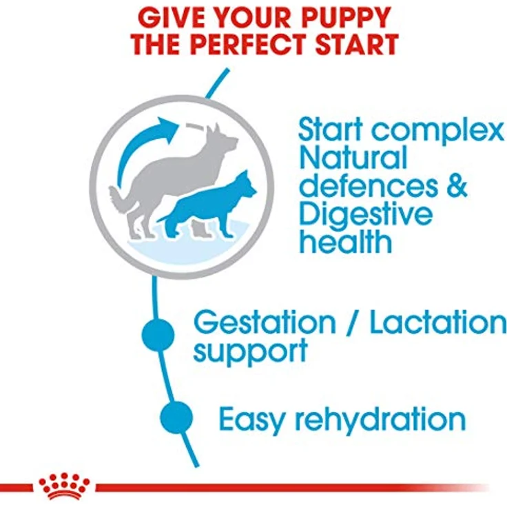 ROYAL CANIN Maxi Starter Mother & Babydog, Trockenfutter für Hunde, 15 kg – Bild 4