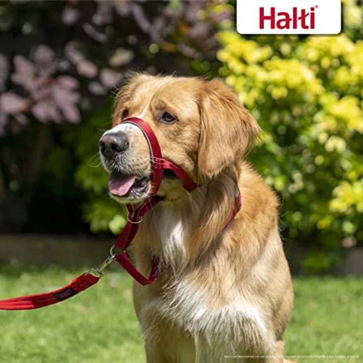Halti Kopfgeschirr, Anti-Zug-Halsband für mittelgroße Hunde, leicht, gepolsterter Nasenriemen, Größe 3, rot – Bild 5