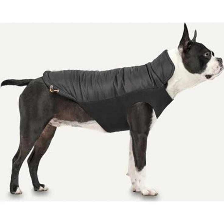 Goo-eez Gooeez Mock Neck Signature Jacket, XL Hundemantel in Schwarz mit wasserabweisender Aussenseite und plüschigem Futter – Bild 2